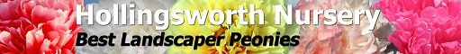 Hollingsworth Nursery Icon.jpg 512x60