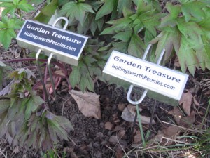 garden markers