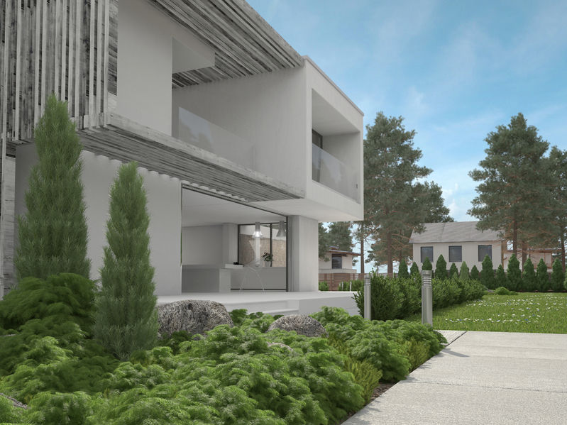 Evergreen shrubs and columnar trees landscaped along a modern home