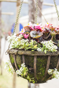 Hanging Baskets 1