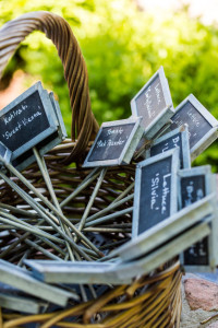plant markers for perennials