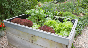 garden markers