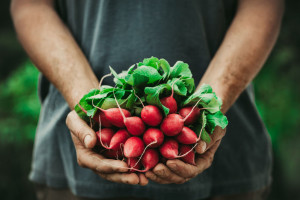 gardening at home