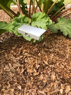 Garden Series F-Style marker in a garden