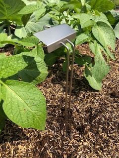 Signature Series M-Style marker in a garden